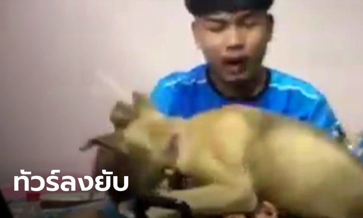 ยูทูบเบอร์หนุ่มขอโทษ จัดฉากโยนสุนัขลงเตาหมูกระทะ ไม่คิดว่าจะเจอทัวร์ลงหนักขนาดนี้