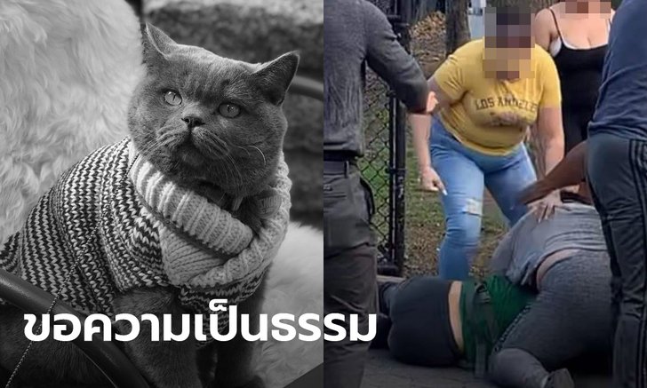 โลกออนไลน์เรียกร้องความยุติธรรม หลังหญิงไทยในสหรัฐถูกครอบครัวโหดทำร้าย-แมวตาย