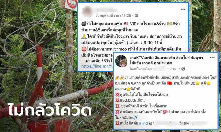 รับสมัครรัวๆ ธุรกิจหาสาวไทยทำงานต่างประเทศ "หมอแล็บแพนด้า" ห่วงระลอก 4 มาแน่!