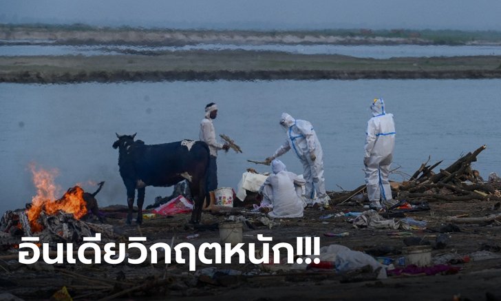 อินเดียช็อก! ชาวบ้านเจอศพนับร้อยลอยติดฝั่งแม่น้ำคงคา เชื่อเป็นผู้เสียชีวิตจากโควิด-19