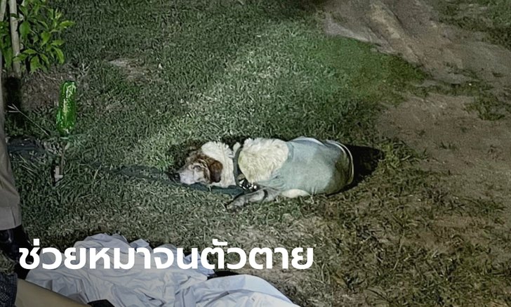 สุดสลด อดีต ผอ.โรงเรียน กระโดดสระบัวช่วยหมา รากบัวพันขาจมน้ำดับต่อหน้าเมีย