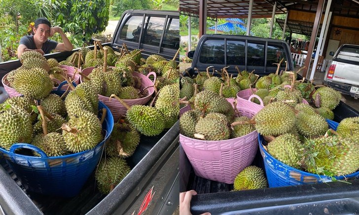 "ชาคริต-แอน" เข่าแทบทรุดโดนพายุถล่มสวน ทุเรียนเสียหายเป็นคันรถ