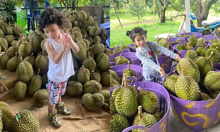 "น้องโพธิ์" เจ้าของสวนตัวจริง "ชาคริต" ทำทุเรียนเองปีแรกบอกได้มากกว่าที่ตาเห็น