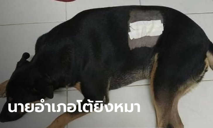 นายอำเภอชุมแสง โต้มูลนิธิดัง กล่าวหายิงหมาหน้าโรงพัก เปิดวงจรปิดดูแล้วแต่ไม่ชัด