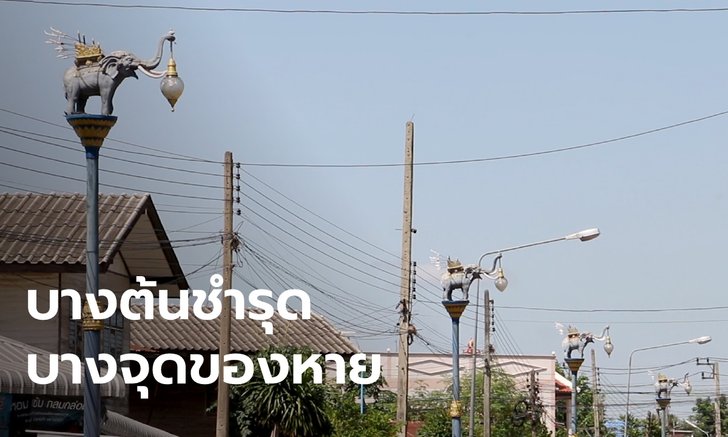 ป.ป.ช.ตรวจสอบ "เสาไฟช้างวิเชียรบุรี" ราคาเสา 7,000 ราคาช้างตัวละแสน