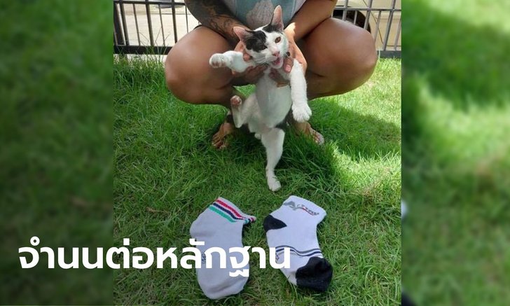 จับ "แมวขโมย" คาหลักฐาน เจ้าทาสหวั่นบ้านเป็นซ่องโจร โร่ตามหาเจ้าของถุงเท้า