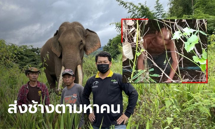 ช้างเพื่อนแก้ว ออกดมกลิ่นจนพบตัวลุงวัย 58 หลงป่านาน 16 วัน รอดปาฏิหาริย์
