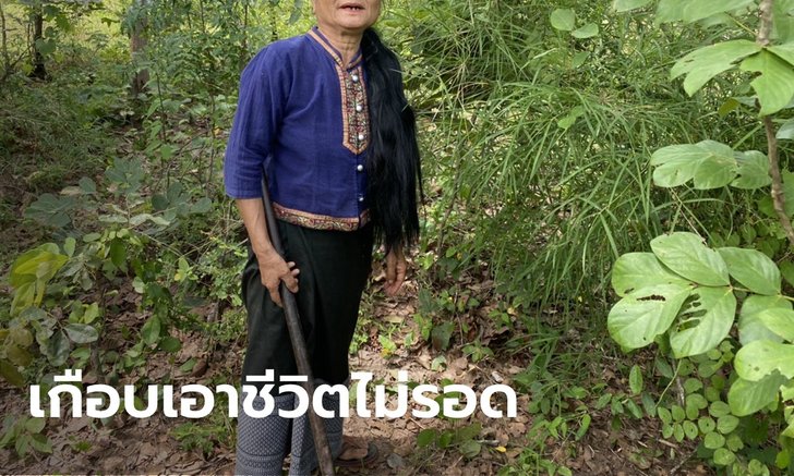 โจรปล้นสวาท โผล่อีกอำเภอ! ป้า 58 ปี หวิดถูกขืนใจกลางป่าเห็ด ฮึดสู้เอาตัวรอด