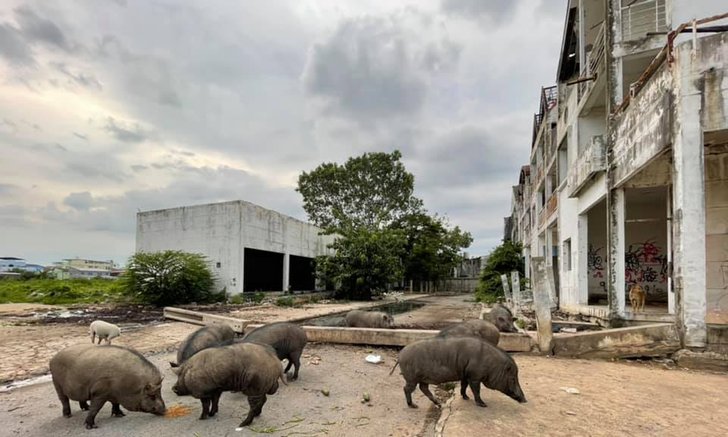 กระจกเงา เผยความคืบหน้าหญิงสาวในบ้านร้าง ผลตรวจยืนยันเป็นผู้ป่วยจิตเวช