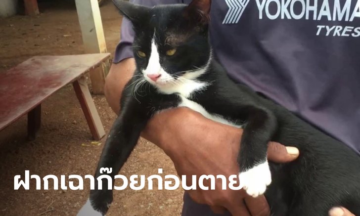 สุดเศร้า หนุ่มเขียนสั่งเสียก่อนผูกคอตาย ฝากพ่อแม่ดูแลแมว อย่าลืมให้อาหารด้วย
