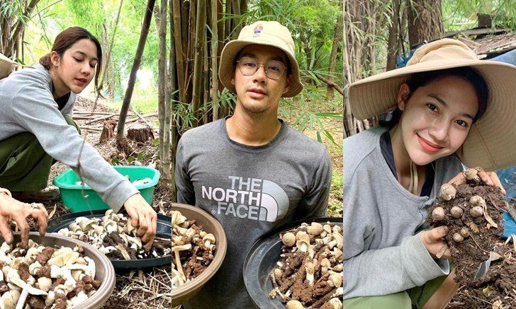 "เพ็ชร ฐกฤต" อวดผลงานสุดภูมิใจ เข้าป่าเก็บเห็ดโคน ได้กลับมาเพียบ