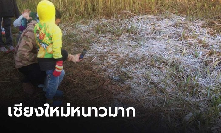 นทท.แห่เที่ยวดอยอินทนนท์ สัมผัสอากาศหนาว ชมปรากฏการณ์น้ำค้างแข็ง