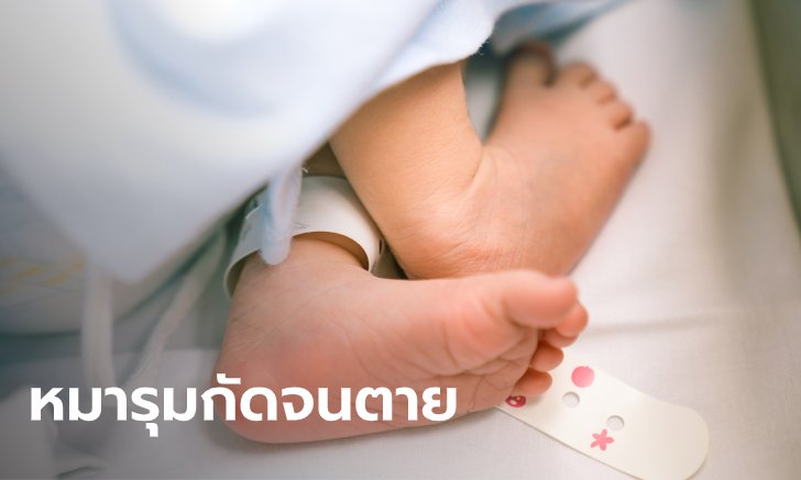 ทารกอินเดียเพิ่งคลอด 3 ชั่วโมง โดนหมาทั้งฝูง รุมขย้ำ-กัดจนตายคาห้องคลอด
