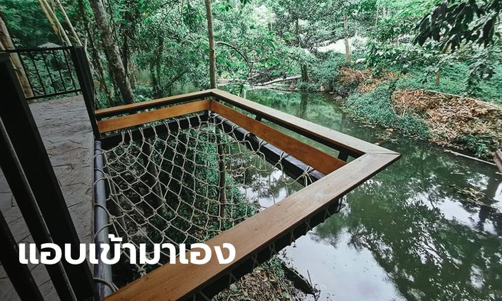 คดีพลิก โรงแรมดังเขาใหญ่แจงอีกมุม นักท่องเที่ยวตกเปลตาข่ายแอบเข้าพื้นที่ของผู้บริหาร
