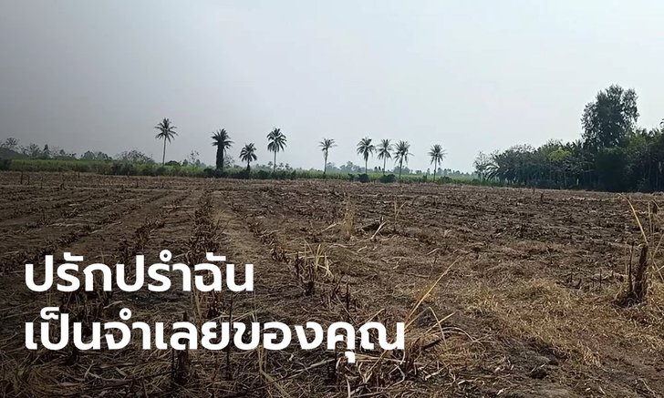 ชาวไร่อ้อยเมืองกาญจน์ วอนอย่ามองเป็นจำเลยสร้างฝุ่น ชี้ประเทศเพื่อนบ้านเผาหนักกว่า