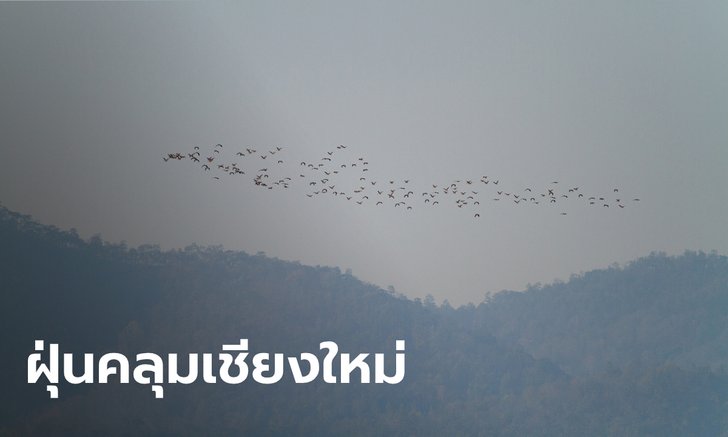 PM 2.5 ยังไม่จาง เชียงใหม่ติดอันดับ 5 อากาศแย่ที่สุดในโลก
