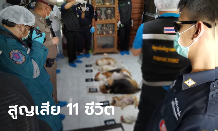 เปิดปมสลด เสี่ยเต็นท์รถฆ่ายกครัว 5 ศพ หนี้สิบกว่าล้าน รักหมาเหมือนลูกต้องตายด้วยกัน