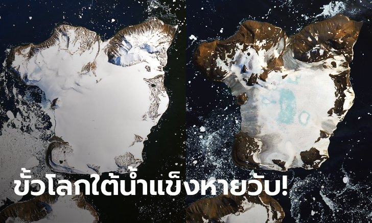 นาซาเทียบรูปก่อน-หลัง น้ำแข็งขั้วโลกใต้ละลายแทบไม่เหลือ เหตุอากาศวิปริตแตะ 20 องศา
