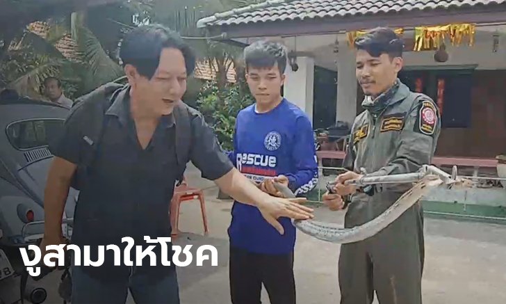 เลขเด็ดงูยาว 2 เมตร เลื้อยเข้าบ้านอดีตข้าราชการ เจ้าตัวเตรียมเสี่ยงโชค นำเงินช่วยชาวบ้าน