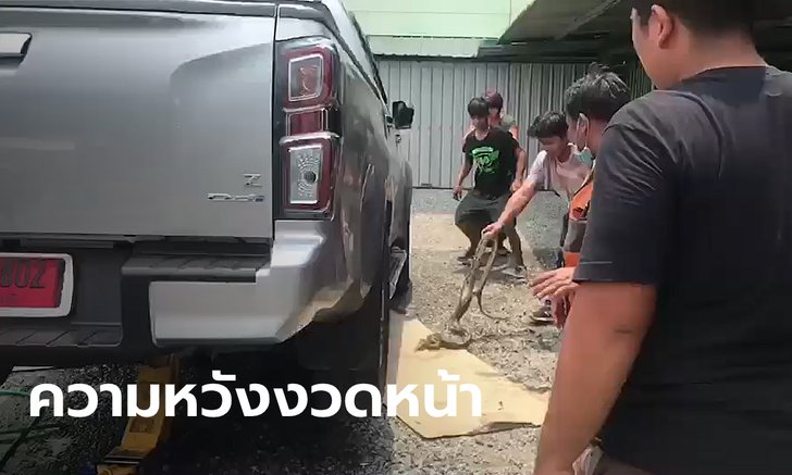 คอหวยจับตา! รองผู้การฯ ตำรวจฉะเชิงเทราเจองูเหลือมผัวเมียมุดเข้าใต้ท้องรถกระบะป้ายแดง