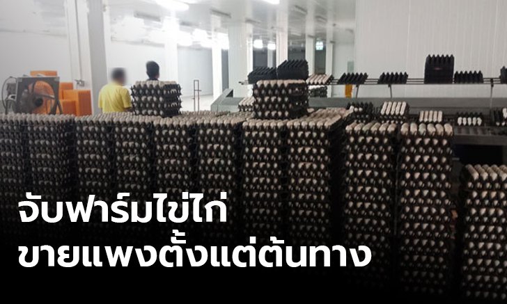 จับ 2 ฟาร์มไข่ “นครปฐม-นครสวรรค์” ขายเกินราคาในช่วงโควิด-19 ระบาด