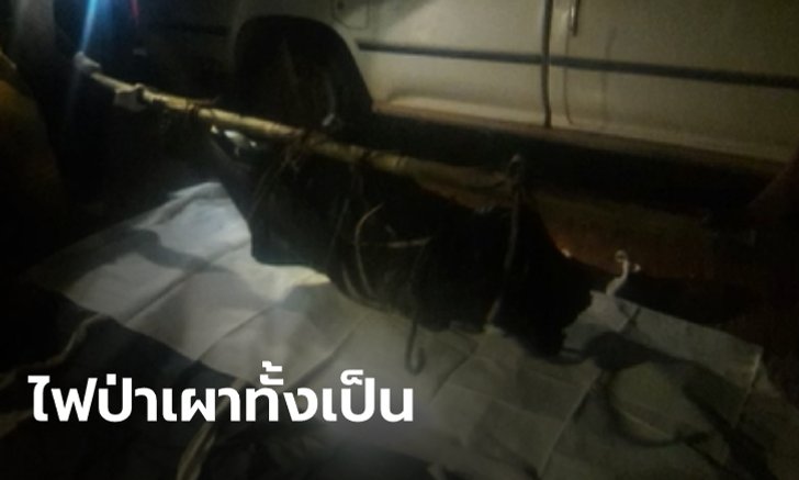 เชียงใหม่ไหม้ไม่หยุด! ภารกิจดับไฟป่าคร่าชีวิต 2 อาสาสมัคร เพลิงเผาแทบทุกดอย