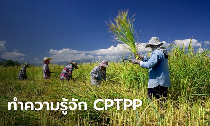 CPTPP