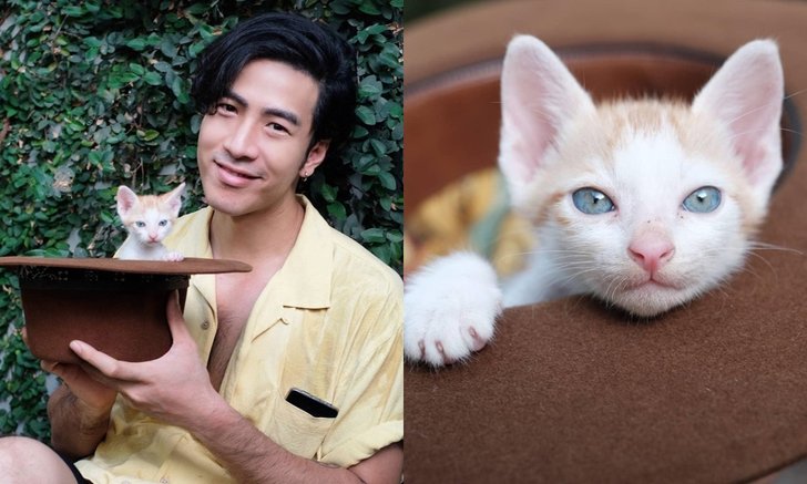"โย่ง อาร์มแชร์" อัปเดตภาพ "เจ้าส้มหยุด" ลูกแมวที่เจอริมถนน แฟนคลับแห่รอเลขตอม่อ
