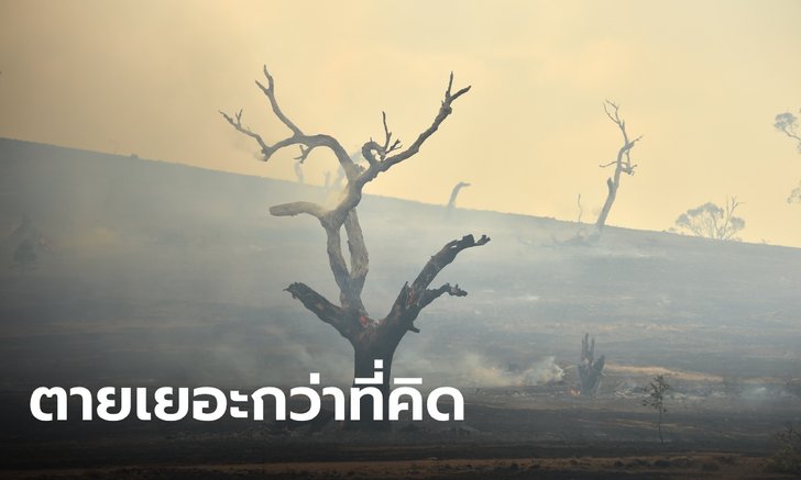 นักวิจัยเผย ชาวออสเตรเลียตายเพราะโลกร้อนนับหมื่น วอนบรรจุเป็นสาเหตุการตาย
