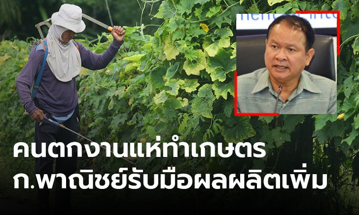 พาณิชย์เตรียมรับมือ ผลผลิตทางการเกษตรเพิ่มขึ้น หลังคนตกงานแห่ทำสวน ทำไร่