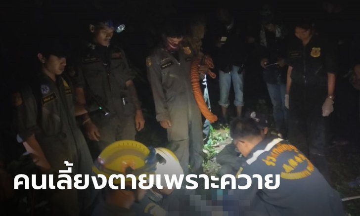 หนุ่มเลี้ยงควายชะตาขาด ถูกไล่ขวิด-เหยียบซ้ำ ดับคาที่ คาดควายได้กลิ่นเหล้า