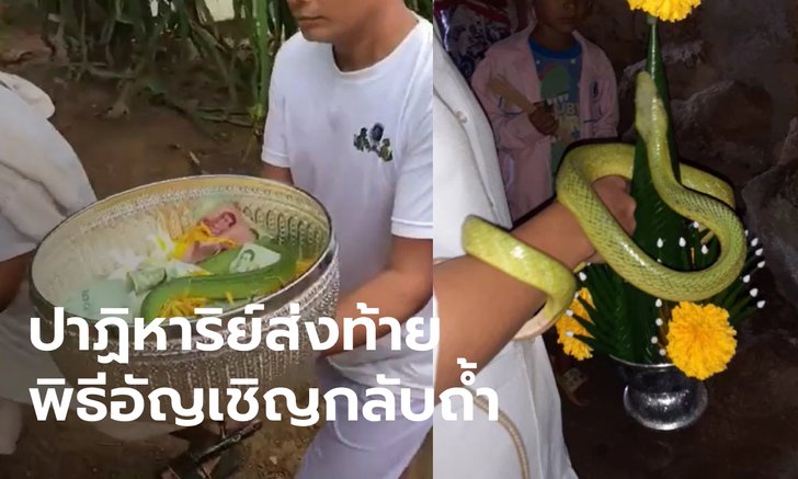 พิธีอัญเชิญงูเขียวเต้นระบำขึ้นถ้ำ เสียงประหลาดดัง 4 ครั้ง คอหวยลุ้นเลขเด็ดโค้งสุดท้าย