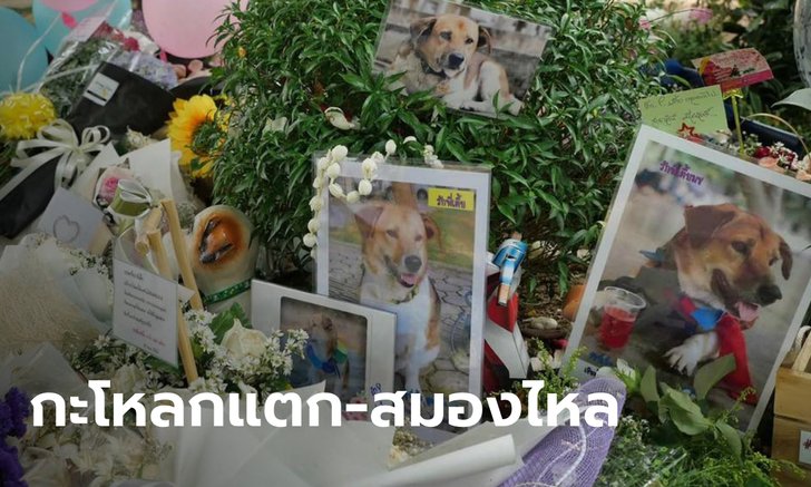 ผลชันสูตรฉบับใหม่ชี้ชัด “เตี้ย มช.” ตายทรมาน ขัดแย้งคำให้การผู้ต้องหา