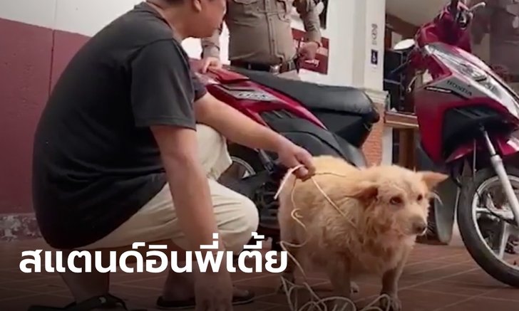 ตำรวจพิสูจน์หลักฐาน ใช้หมาจริงจำลองเหตุการณ์ ไขคดี "เตี้ย มช."