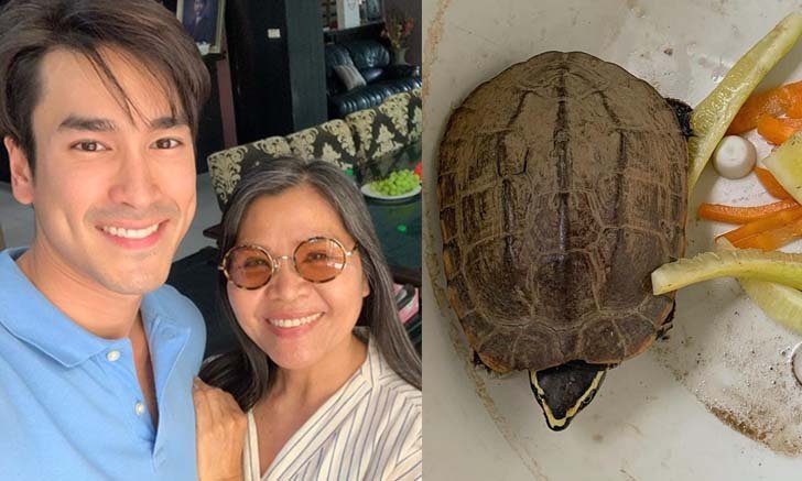 คอหวยถูกใจ "แม่แก้ว" เผยเรื่องราวดีๆ เต่าเดินหลงเข้าบ้าน แอบมีบอกเลขด้วย