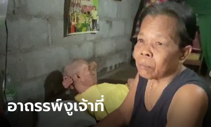 หนุ่มวัย 26 ปีกลายเป็นคนวิกลจริต หลังฆ่างูเห่าที่มาติดกับดักหนูนา แม่เชื่ออาถรรพ์งูเจ้าที่