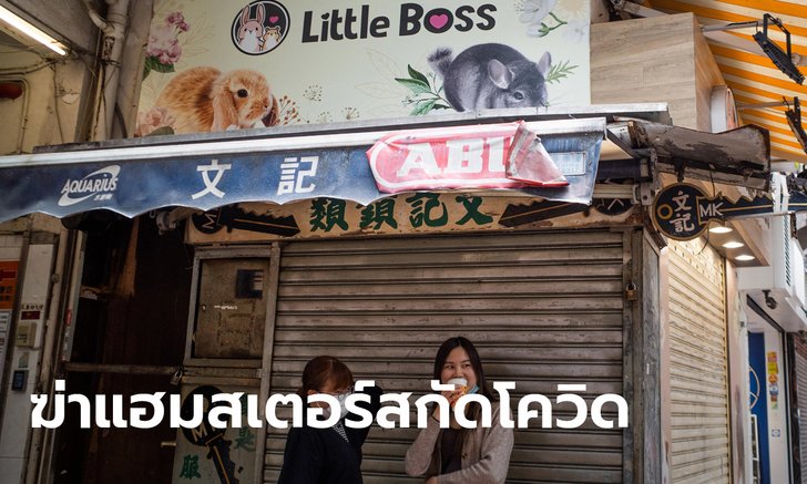 ฮ่องกงสั่งฆ่าหนูแฮมสเตอร์นับพันตัว หลังตรวจร้านเจอโควิด 11 ตัวมีเชื้อ