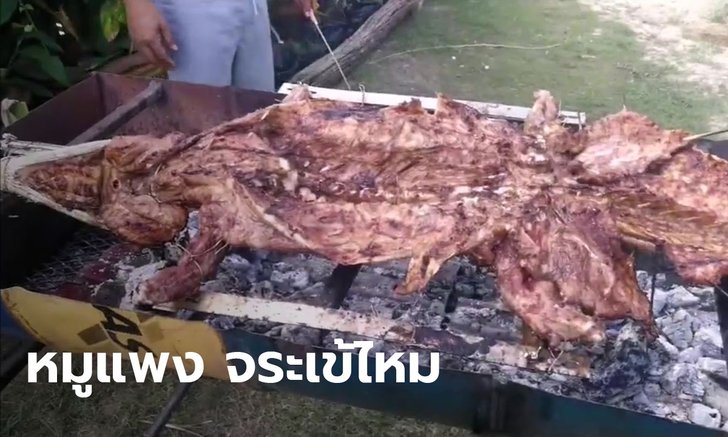 เนื้อหมูแพง ชาวบ้านจึงหันมากินเนื้อทางเลือกแทน