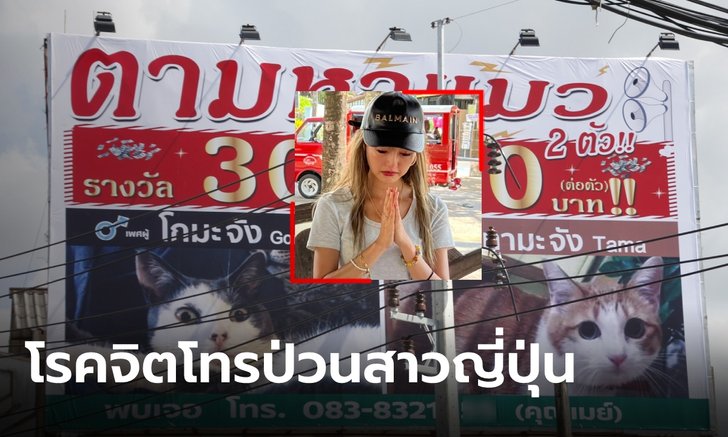 สาวญี่ปุ่น ขึ้นป้ายยักษ์ตามหาแมว ให้รางวัลตัวละ 3 หมื่น ไม่วายถูกโรคจิตโทรป่วน