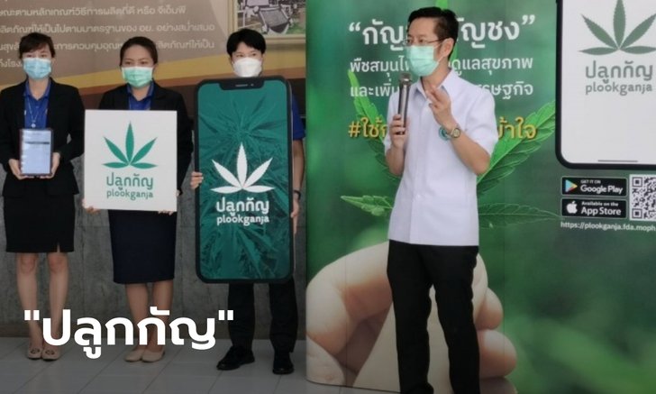 ปลูกกัญชาลงทะเบียนง่ายๆ 3 ขั้นตอน