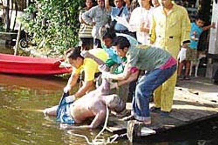 กรรมตามทัน! โจรสอยกระเป๋าหนีลงคลองดับอนาถ