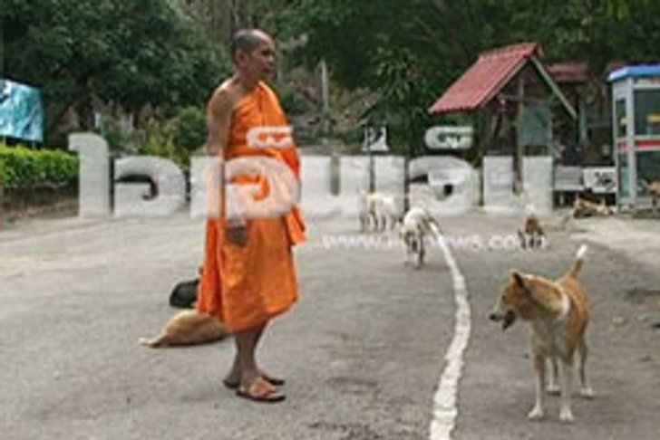 คนบาป! จับสุนัขวัดลำปางไปกินอ้างแก้หนาว