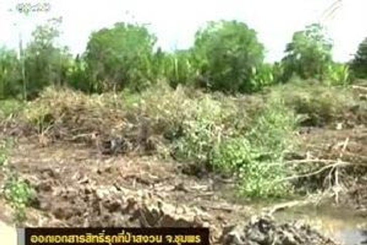 พบจนท.รัฐเอี่ยวออกเอกสารสิทธิ์รุกที่ป่าสงวน จ.ชุมพร
