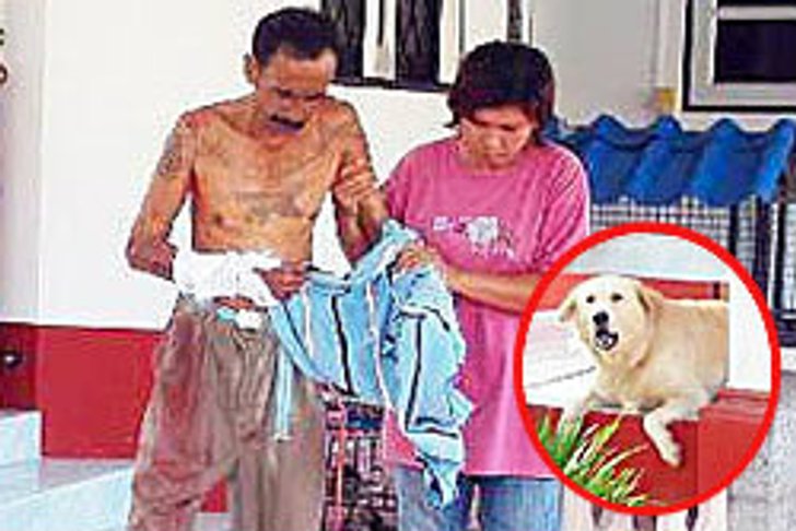 หมาโกลเด้นกัดเจ้าของดับ แค้นถูกเตะตอนเด็ก