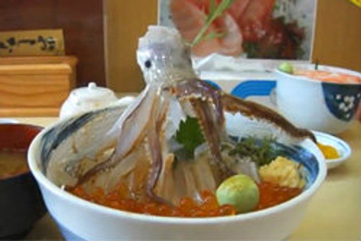 ชาวเน็ตรุมจวก"หมึกเต้นระบำ"เมนูสุดแปลกของญี่ปุ่น