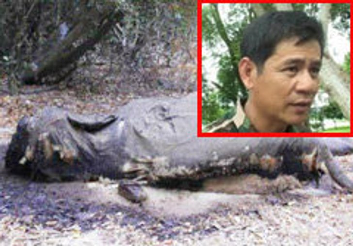 สั่งเด้ง! หัวหน้าอุทยานฯ แก่งกระจาน เซ่นคดีฆ่าเผาช้าง