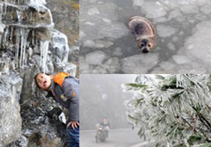 อากาศหนาวเหน็บ หิมะขาวโพลนที่จีน