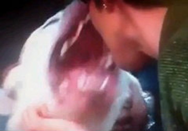 สยอง! สุนัขขย้ำหน้าพิธีกรสาวออกอากาศสด