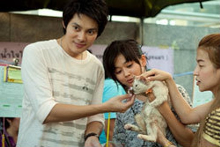 แมน การิน ฉลองวันเกิดทำบุญบ้านแมวเหมียว