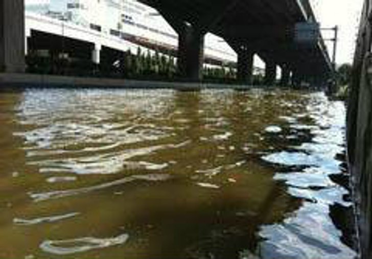 ระทึก! จระเข้โผล่ใต้โทลล์เวย์ย่านดอนเมือง